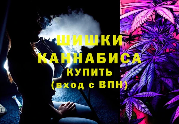 ешки Бородино