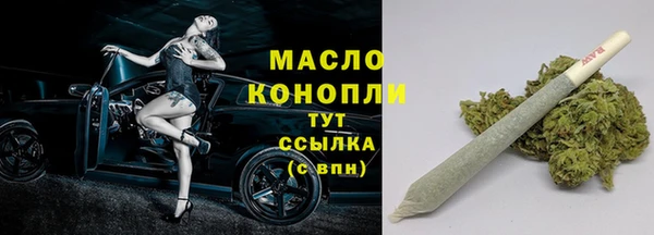ешки Бородино