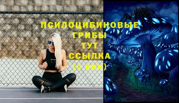 дживик Богородицк