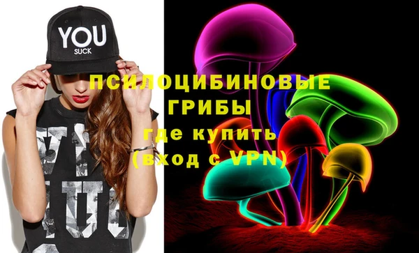ешки Бородино