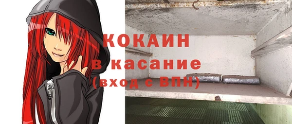 дживик Богородицк